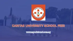 Caritas University School Fees