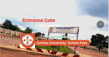 Caritas University School Fees