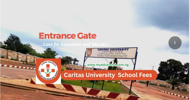 Caritas University School Fees