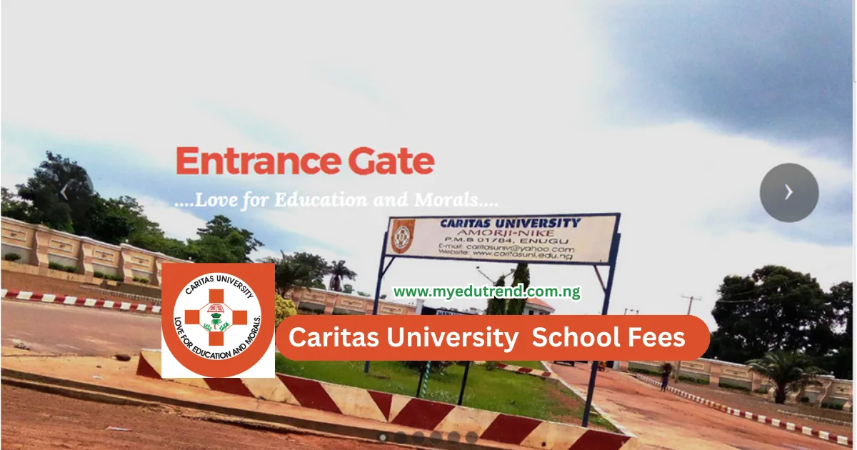 Caritas University School Fees